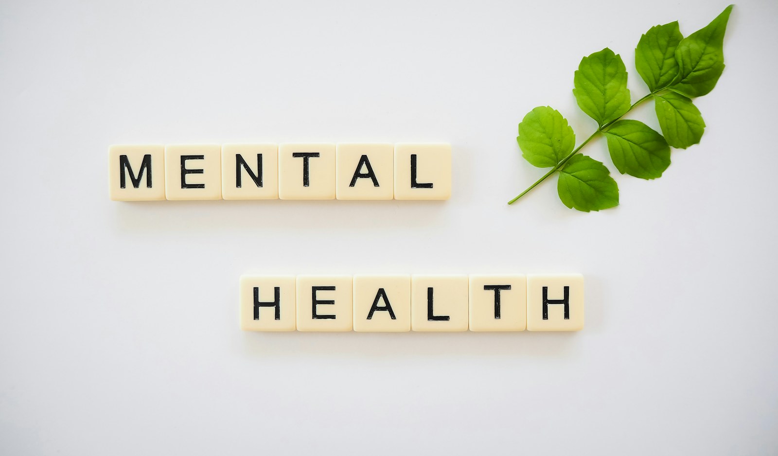 A calm and supportive mental health conversation